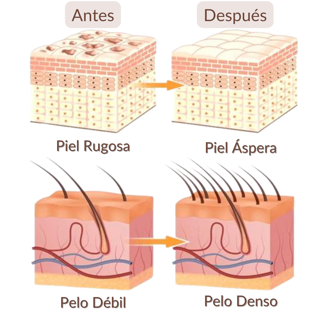 Varita Facial Alta Frecuencia